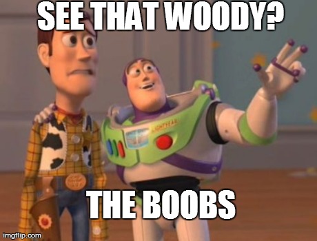 X, X Everywhere Meme | SEE THAT WOODY?
 THE BOOBS | image tagged in memes,x x everywhere | made w/ Imgflip meme maker