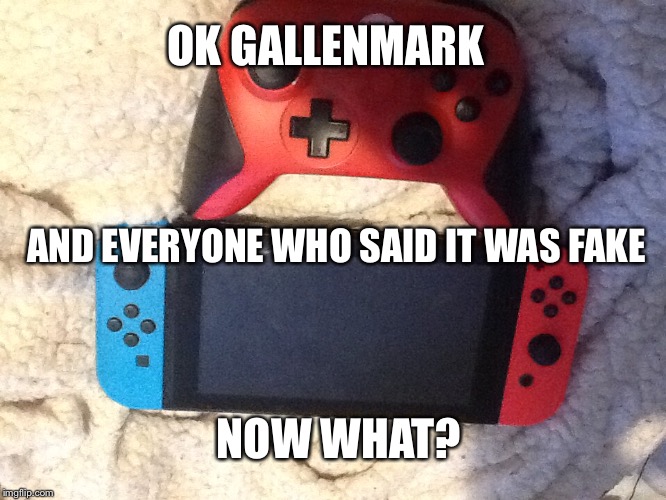 OK GALLENMARK; AND EVERYONE WHO SAID IT WAS FAKE; NOW WHAT? | image tagged in nintendo switch | made w/ Imgflip meme maker