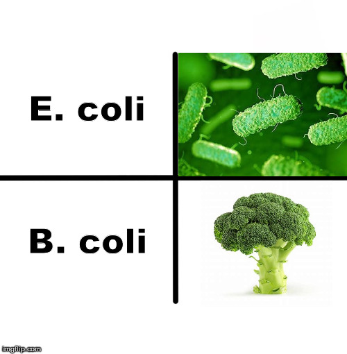 Blank Starter Pack | E. coli; B. coli | image tagged in memes,blank starter pack | made w/ Imgflip meme maker