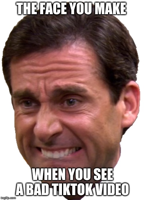 THE FACE YOU MAKE; WHEN YOU SEE A BAD TIKTOK VIDEO | image tagged in funny memes,the face you make when | made w/ Imgflip meme maker