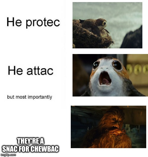 He protec he attac but most importantly |  THEY'RE A SNAC FOR CHEWBAC | image tagged in he protec he attac but most importantly | made w/ Imgflip meme maker