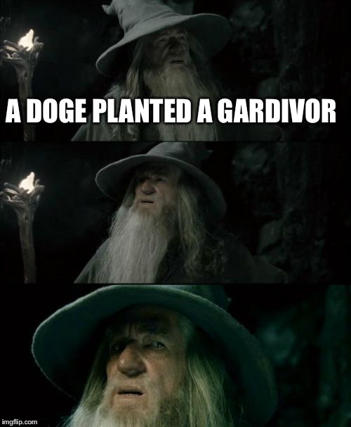 Confused Gandalf Meme | A DOGE PLANTED A GARDIVOR | image tagged in memes,confused gandalf | made w/ Imgflip meme maker