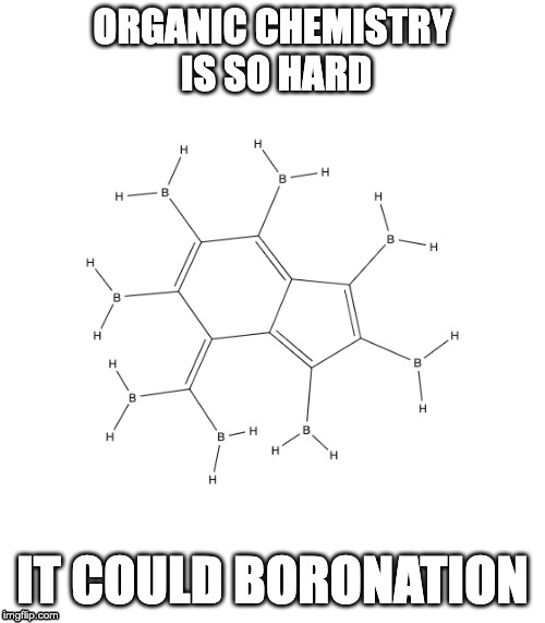 Boronation | ORGANIC CHEMISTRY
 IS SO HARD; IT COULD BORONATION | image tagged in organic chemistry,nerd,chemistry,science,college,chemicals | made w/ Imgflip meme maker