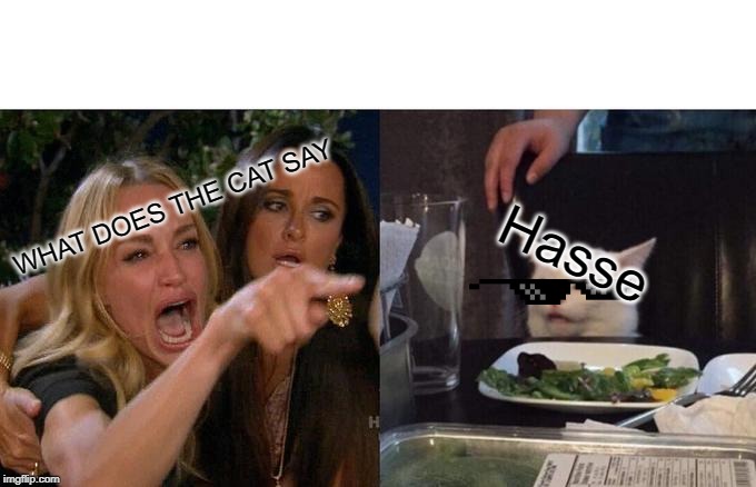 Woman Yelling At Cat | WHAT DOES THE CAT SAY; Hasse | image tagged in memes,woman yelling at cat | made w/ Imgflip meme maker