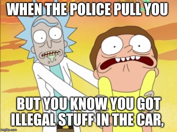 Rick And Morty | WHEN THE POLICE PULL YOU; BUT YOU KNOW YOU GOT ILLEGAL STUFF IN THE CAR, | image tagged in rick and morty | made w/ Imgflip meme maker