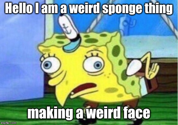 Mocking Spongebob Meme | Hello I am a weird sponge thing; making a weird face | image tagged in memes,mocking spongebob | made w/ Imgflip meme maker