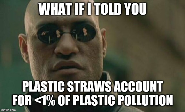Matrix Morpheus Meme | WHAT IF I TOLD YOU PLASTIC STRAWS ACCOUNT FOR <1% OF PLASTIC POLLUTION | image tagged in memes,matrix morpheus | made w/ Imgflip meme maker