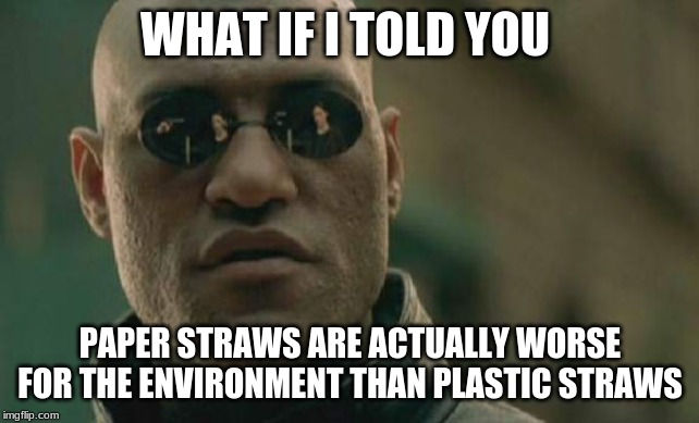 WHAT IF I TOLD YOU PAPER STRAWS ARE ACTUALLY WORSE FOR THE ENVIRONMENT THAN PLASTIC STRAWS | image tagged in memes,matrix morpheus | made w/ Imgflip meme maker