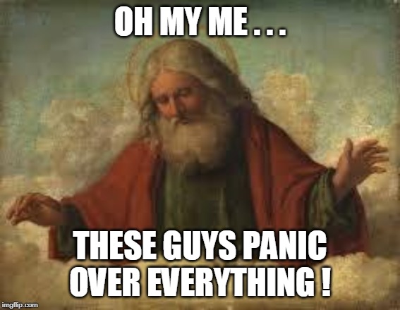 god | OH MY ME . . . THESE GUYS PANIC OVER EVERYTHING ! | image tagged in god | made w/ Imgflip meme maker