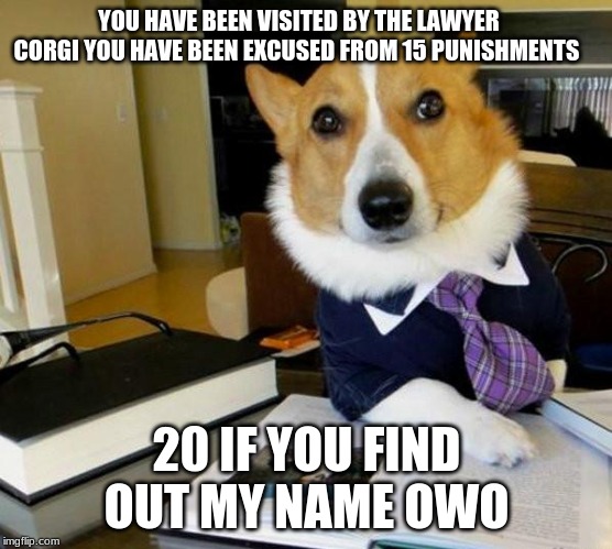 Lawyer Corgi Dog | YOU HAVE BEEN VISITED BY THE LAWYER CORGI YOU HAVE BEEN EXCUSED FROM 15 PUNISHMENTS; 20 IF YOU FIND OUT MY NAME OWO | image tagged in lawyer corgi dog | made w/ Imgflip meme maker