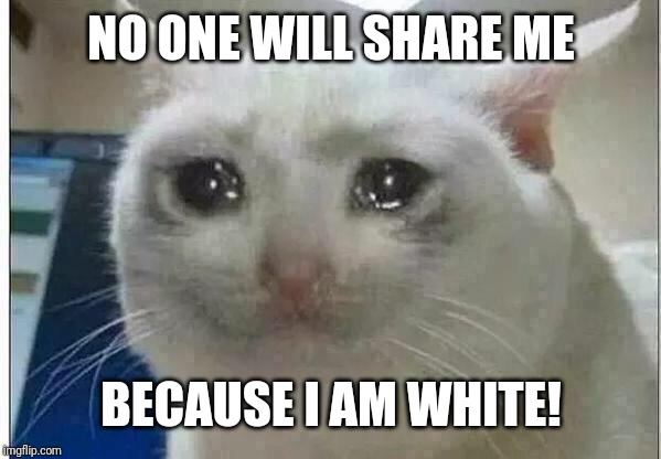crying cat | NO ONE WILL SHARE ME; BECAUSE I AM WHITE! | image tagged in crying cat | made w/ Imgflip meme maker