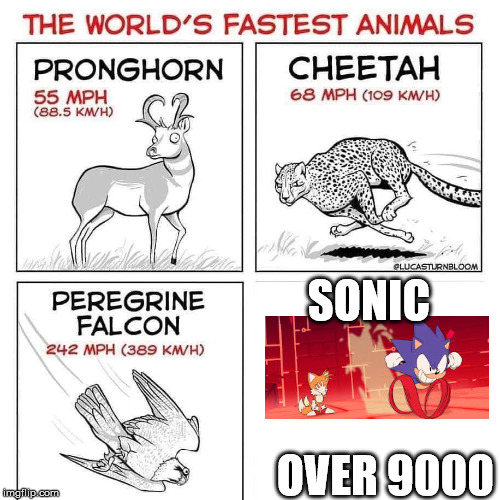 The world's fastest animals | SONIC OVER 9000 | image tagged in the world's fastest animals | made w/ Imgflip meme maker