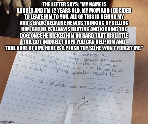 THE LETTER SAYS: “MY NAME IS ANDRÉS AND I’M 12 YEARS OLD. MY MOM AND I DECIDED TO LEAVE HIM TO YOU. ALL OF THIS IS BEHIND MY DAD’S BACK, BECAUSE HE WAS THINKING OF SELLING HIM. BUT HE IS ALWAYS BEATING AND KICKING THE DOG. ONCE HE KICKED HIM SO HARD THAT HIS LITTLE TAIL GOT INJURED. I HOPE YOU CAN HELP HIM AND TAKE CARE OF HIM. HERE IS A PLUSH TOY SO HE WON’T FORGET ME.” | made w/ Imgflip meme maker