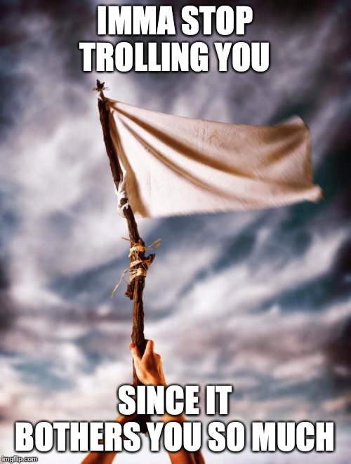white flag | IMMA STOP TROLLING YOU SINCE IT BOTHERS YOU SO MUCH | image tagged in white flag | made w/ Imgflip meme maker