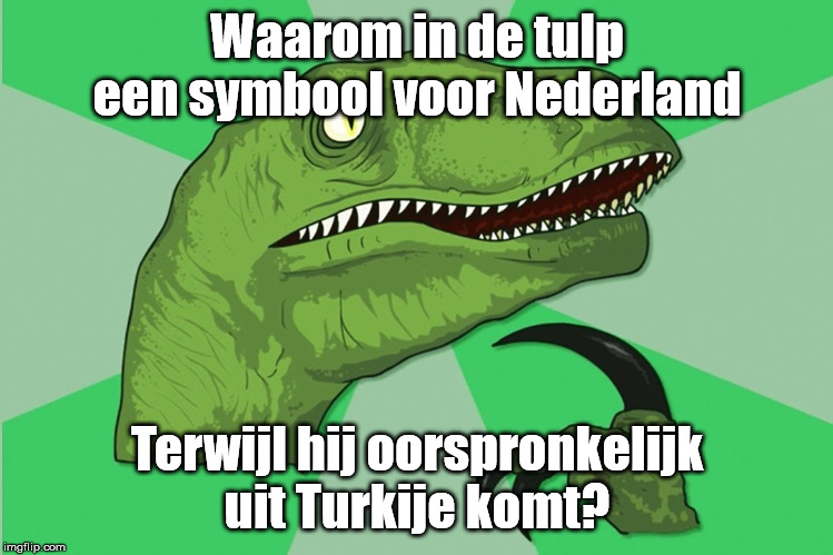 new philosoraptor | Waarom in de tulp een symbool voor Nederland; Terwijl hij oorspronkelijk uit Turkije komt? | image tagged in new philosoraptor | made w/ Imgflip meme maker