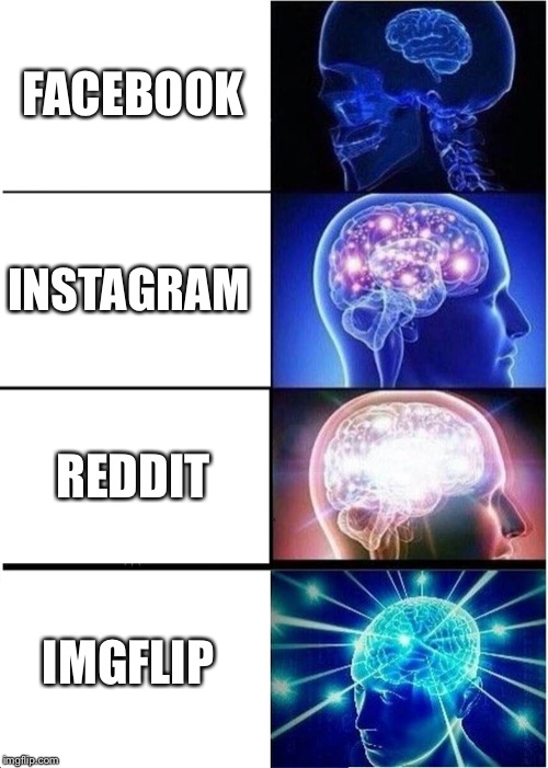 Expanding Brain | FACEBOOK; INSTAGRAM; REDDIT; IMGFLIP | image tagged in memes,expanding brain | made w/ Imgflip meme maker