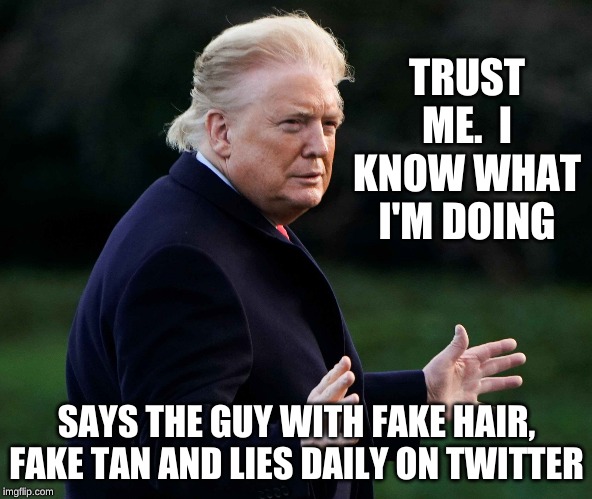 Trump orange face | TRUST ME.  I KNOW WHAT I'M DOING; SAYS THE GUY WITH FAKE HAIR, FAKE TAN AND LIES DAILY ON TWITTER | image tagged in trump orange face | made w/ Imgflip meme maker