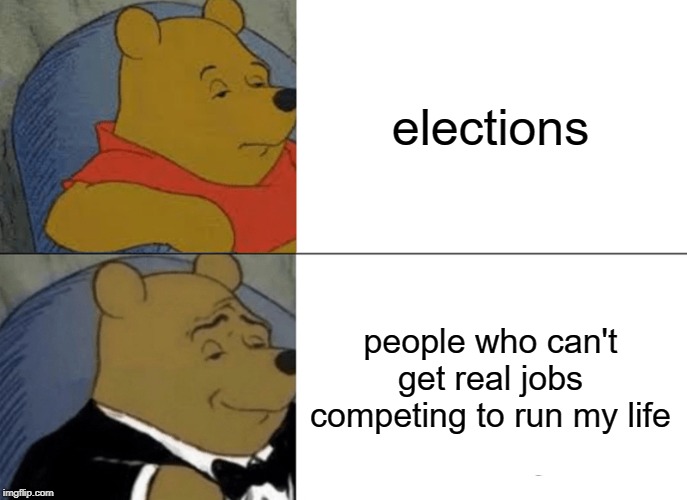 Tuxedo Winnie The Pooh | elections; people who can't get real jobs competing to run my life | image tagged in memes,tuxedo winnie the pooh | made w/ Imgflip meme maker