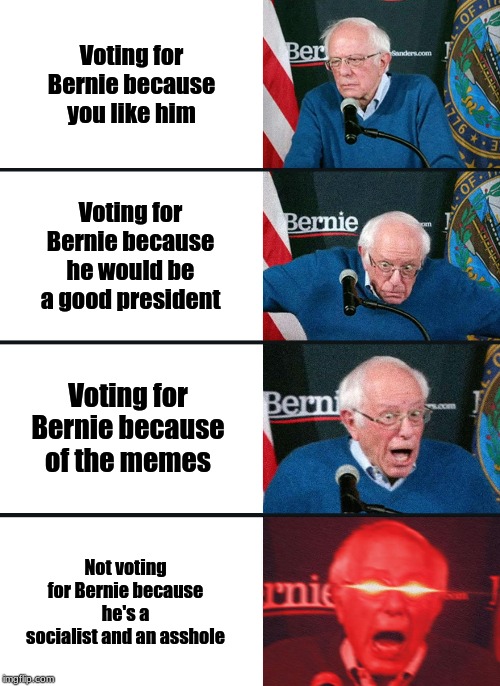 Bernie Sanders reaction (nuked) | Voting for Bernie because you like him; Voting for Bernie because he would be a good president; Voting for Bernie because of the memes; Not voting for Bernie because he's a socialist and an asshole | image tagged in bernie sanders reaction nuked | made w/ Imgflip meme maker