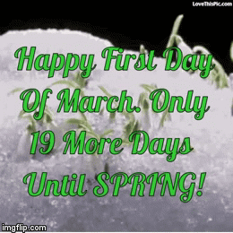 [Image: 3r347t.gif]