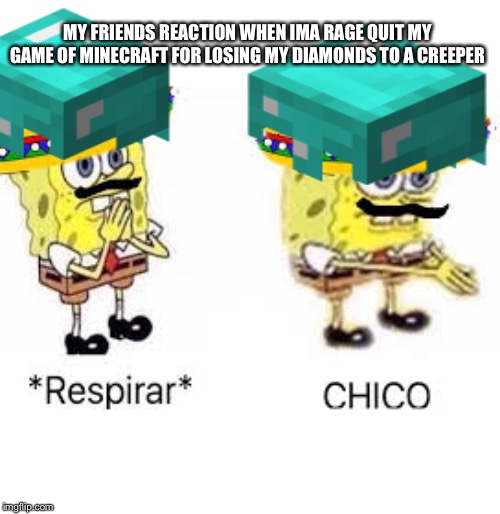 MY FRIENDS REACTION WHEN IMA RAGE QUIT MY GAME OF MINECRAFT FOR LOSING MY DIAMONDS TO A CREEPER | image tagged in glitter_pillzz | made w/ Imgflip meme maker