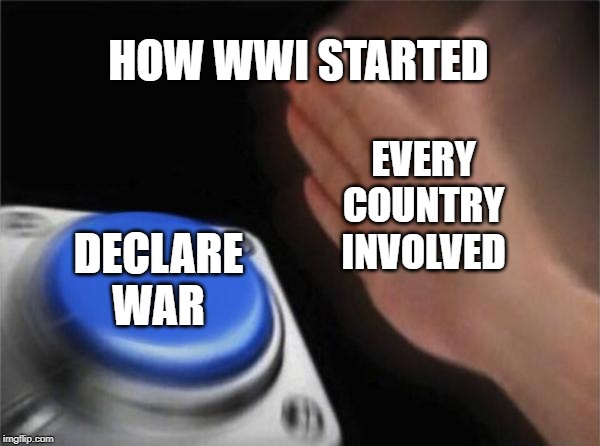 Blank Nut Button Meme | HOW WWI STARTED; EVERY COUNTRY INVOLVED; DECLARE WAR | image tagged in memes,blank nut button | made w/ Imgflip meme maker