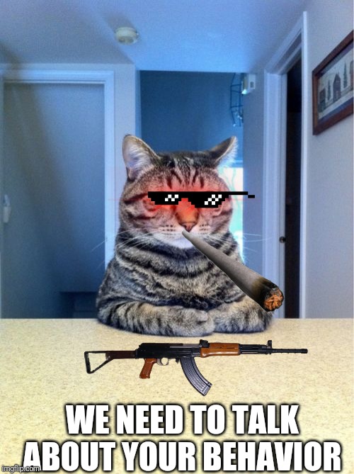 Take A Seat Cat Meme | WE NEED TO TALK ABOUT YOUR BEHAVIOR | image tagged in memes,take a seat cat | made w/ Imgflip meme maker