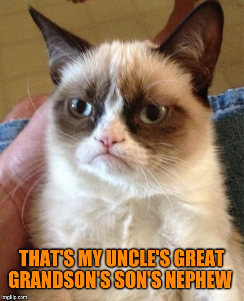 Grumpy Cat Meme | THAT'S MY UNCLE'S GREAT GRANDSON'S SON'S NEPHEW | image tagged in memes,grumpy cat | made w/ Imgflip meme maker