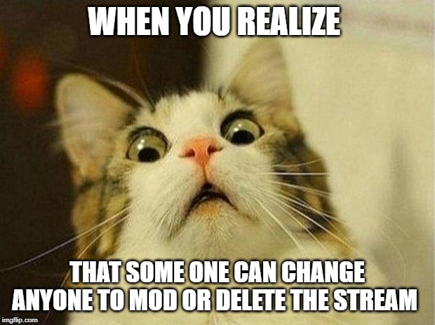 Scared Cat | WHEN YOU REALIZE; THAT SOME ONE CAN CHANGE ANYONE TO MOD OR DELETE THE STREAM | image tagged in memes,scared cat | made w/ Imgflip meme maker