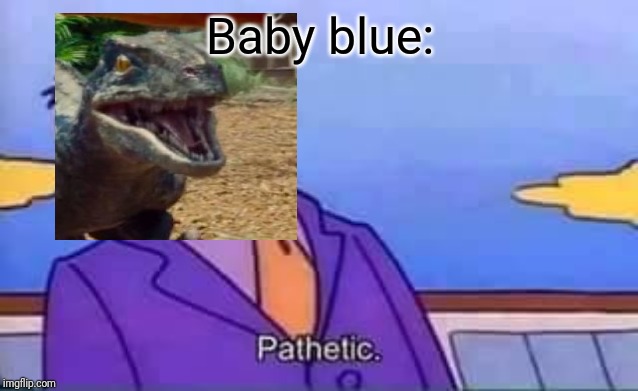 skinner pathetic | Baby blue: | image tagged in skinner pathetic | made w/ Imgflip meme maker
