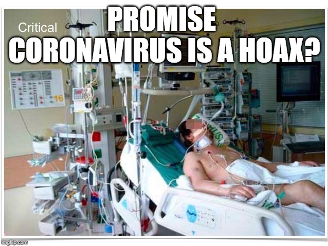 PROMISE 
CORONAVIRUS IS A HOAX? | image tagged in coronavirus | made w/ Imgflip meme maker