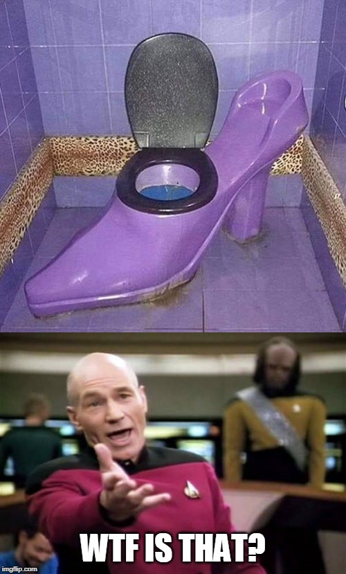 wtf | WTF IS THAT? | image tagged in memes,picard wtf | made w/ Imgflip meme maker