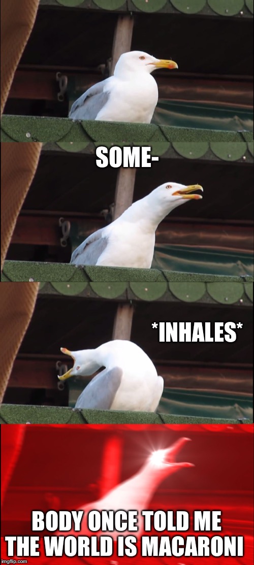 Inhaling Seagull | SOME-; *INHALES*; BODY ONCE TOLD ME THE WORLD IS MACARONI | image tagged in memes,inhaling seagull | made w/ Imgflip meme maker