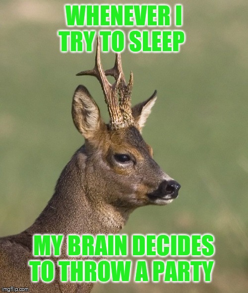 Sad deer | WHENEVER I TRY TO SLEEP MY BRAIN DECIDES TO THROW A PARTY | image tagged in sad deer | made w/ Imgflip meme maker