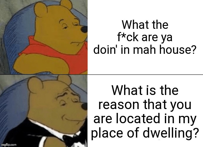 2 Different Winnie the Pooh Reactions to a Burglar | What the f*ck are ya doin' in mah house? What is the reason that you are located in my place of dwelling? | image tagged in memes,tuxedo winnie the pooh | made w/ Imgflip meme maker