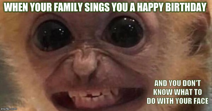 Honestly, It is so awkward! | WHEN YOUR FAMILY SINGS YOU A HAPPY BIRTHDAY; AND YOU DON'T KNOW WHAT TO DO WITH YOUR FACE | image tagged in funny,animals,monkey,smile,birthday | made w/ Imgflip meme maker