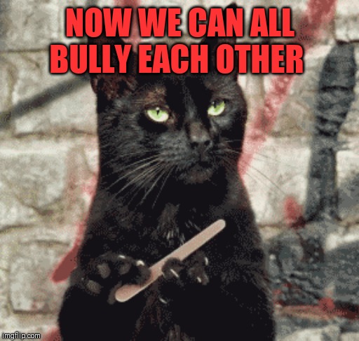 NOW WE CAN ALL BULLY EACH OTHER | made w/ Imgflip meme maker