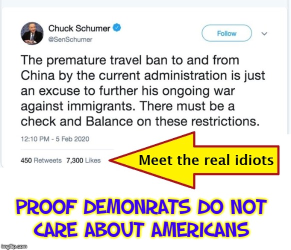 Proof Trump was Ahead of the Rest of the World! | Meet the real idiots; PROOF DEMONRATS DO NOT      CARE ABOUT AMERICANS | image tagged in vince vance,coronavirus,chuck schumer,travel ban,china,illegal immigrants | made w/ Imgflip meme maker