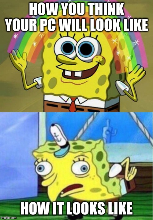 HOW YOU THINK YOUR PC WILL LOOK LIKE; HOW IT LOOKS LIKE | image tagged in memes,imagination spongebob,mocking spongebob | made w/ Imgflip meme maker