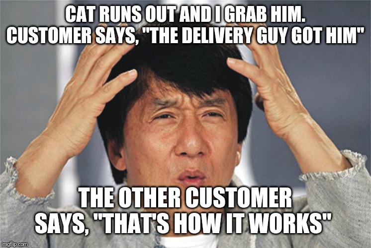 Jackie Chan Confused | CAT RUNS OUT AND I GRAB HIM. CUSTOMER SAYS, "THE DELIVERY GUY GOT HIM"; THE OTHER CUSTOMER SAYS, "THAT'S HOW IT WORKS" | image tagged in jackie chan confused,AdviceAnimals | made w/ Imgflip meme maker