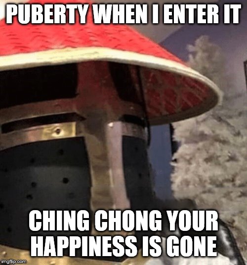 Ching Chong Crusader | PUBERTY WHEN I ENTER IT; CHING CHONG YOUR HAPPINESS IS GONE | image tagged in ching chong crusader | made w/ Imgflip meme maker