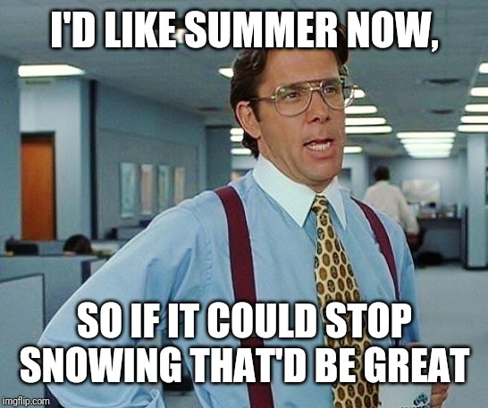That'd Be Great | I'D LIKE SUMMER NOW, SO IF IT COULD STOP SNOWING THAT'D BE GREAT | image tagged in that'd be great | made w/ Imgflip meme maker