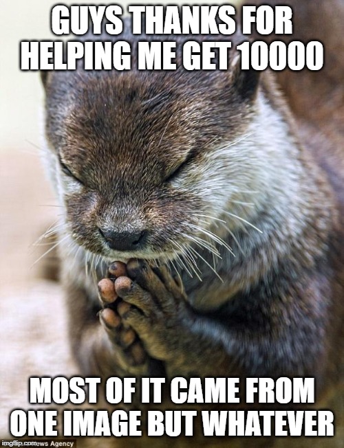 Thank you Lord Otter | GUYS THANKS FOR HELPING ME GET 10000; MOST OF IT CAME FROM ONE IMAGE BUT WHATEVER | image tagged in thank you lord otter | made w/ Imgflip meme maker