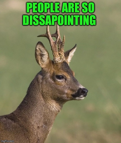 Sad deer | PEOPLE ARE SO DISSAPOINTING | image tagged in sad deer | made w/ Imgflip meme maker