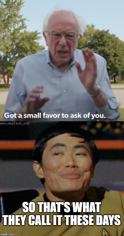 Easy there big fella | SO THAT'S WHAT THEY CALL IT THESE DAYS | image tagged in sulu,bernie a small favor,bernie sanders | made w/ Imgflip meme maker