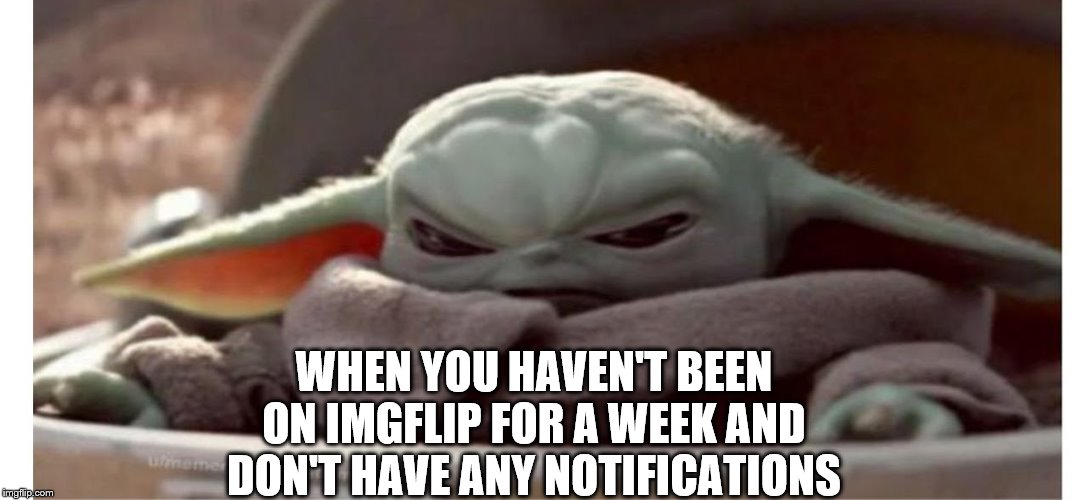 True right? | WHEN YOU HAVEN'T BEEN ON IMGFLIP FOR A WEEK AND DON'T HAVE ANY NOTIFICATIONS | image tagged in funny,true | made w/ Imgflip meme maker