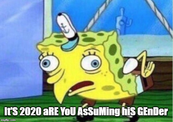 Mocking Spongebob Meme | It'S 2020 aRE YoU AsSuMing hiS GEnDer | image tagged in memes,mocking spongebob | made w/ Imgflip meme maker