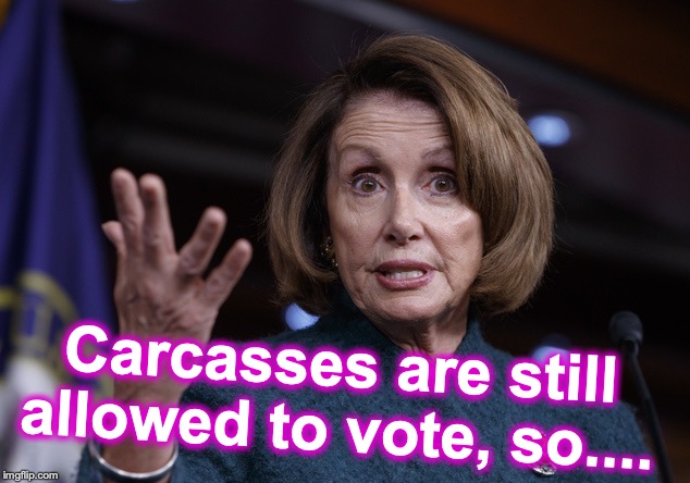 Good old Nancy Pelosi | Carcasses are still allowed to vote, so.... | image tagged in good old nancy pelosi | made w/ Imgflip meme maker