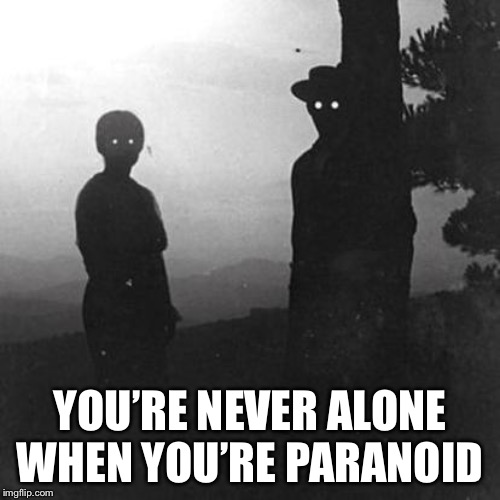 Damn spooky stuff | YOU’RE NEVER ALONE WHEN YOU’RE PARANOID | image tagged in damn spooky stuff | made w/ Imgflip meme maker