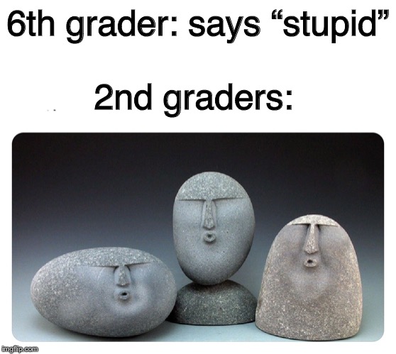 Oof stones | 6th grader: says “stupid”; 2nd graders: | image tagged in oof stones | made w/ Imgflip meme maker